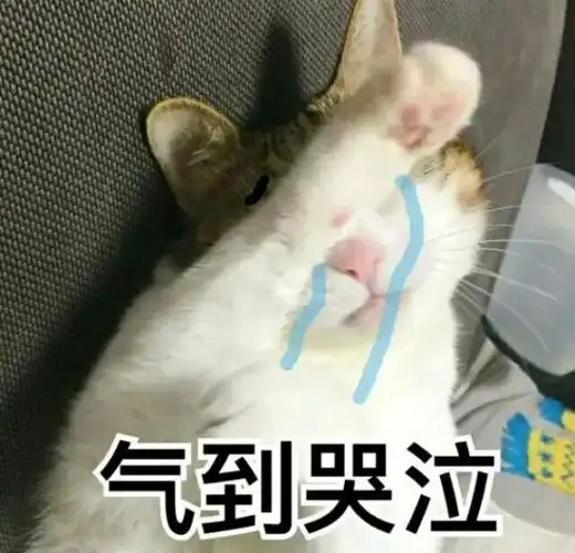 京东涨薪,腾讯发钱,阿里鹅厂握手言和,互联网大佬聚众搞事了!