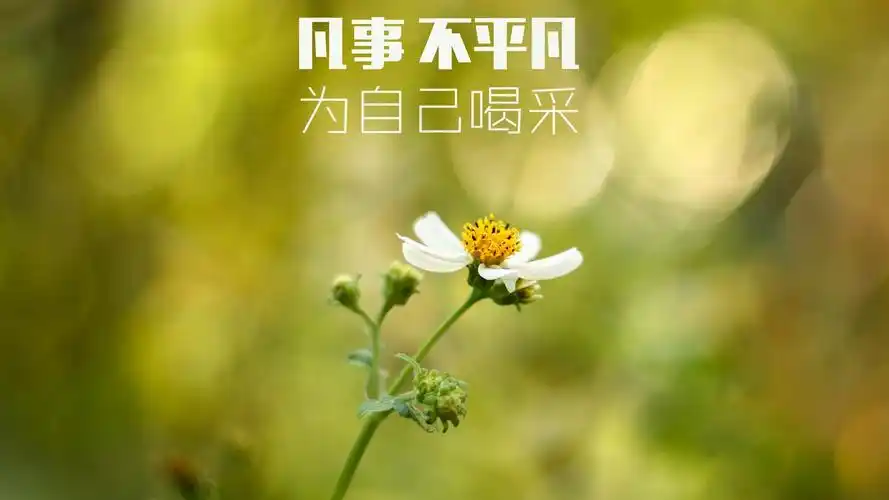 29m上传时间:2020-06-16壁纸标签:文字励志鼓励文字控壁纸封面图文字