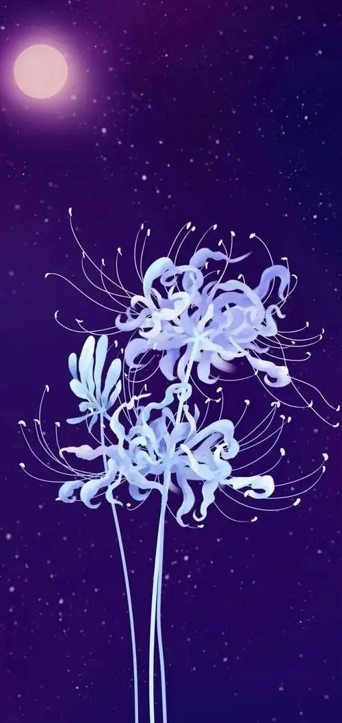 彼岸花图片(彼岸花图片纹身)