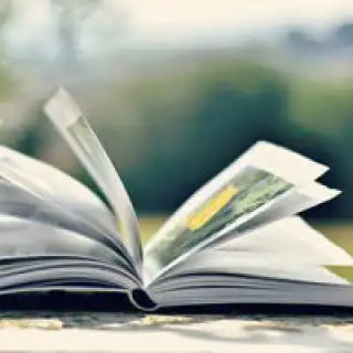 雏菊头像带有雏菊好看的头像