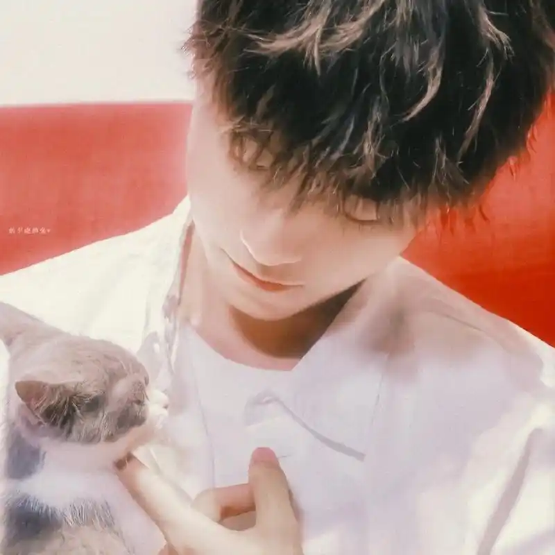 王俊凯系列情头合集甜甜蜜蜜好可爱