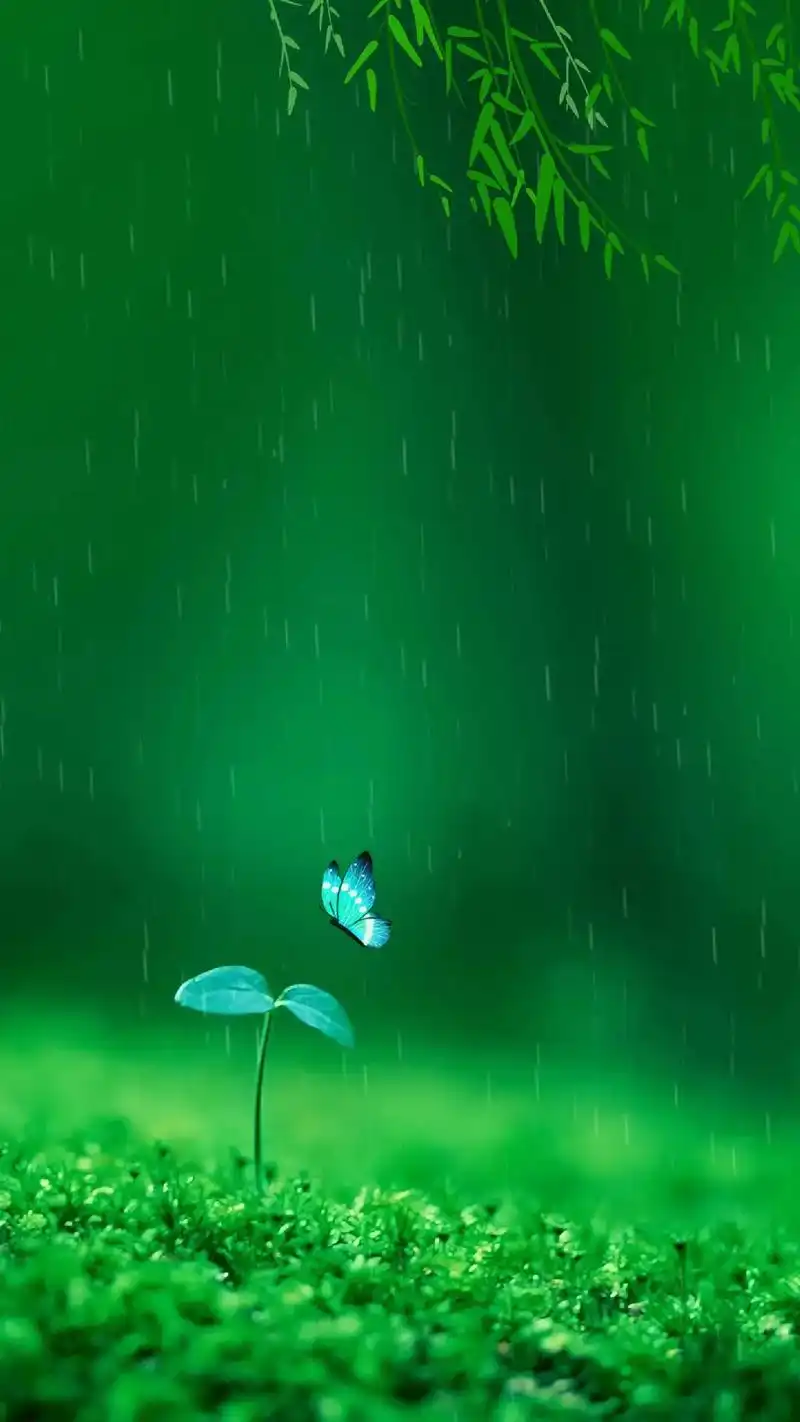 分享一组绿色护眼壁纸