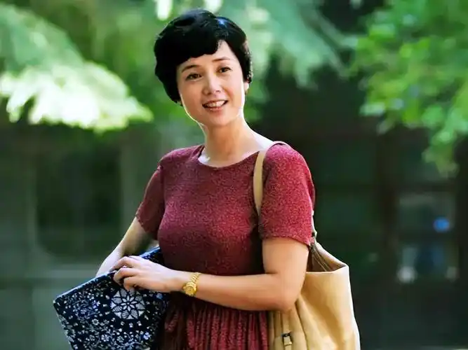 剧照蒋雯丽代表作《中国式离婚》海报2008年,蒋雯丽因主演影片《立春