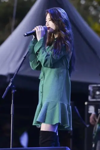 裴秀智音乐节演出高清图片