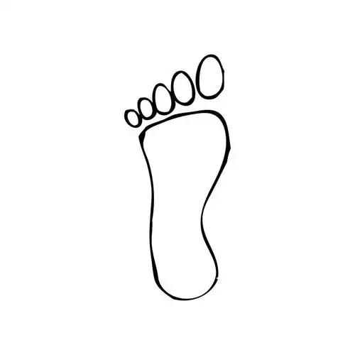 人类的足迹绘图,矢量,人类的足迹在白色的背景上绘制