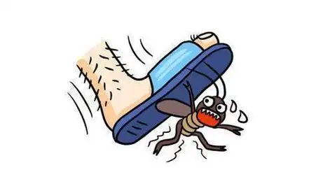 看见蟑螂不能用脚踩?