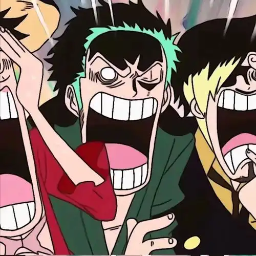 有没有适合四个兄弟的海贼王头像