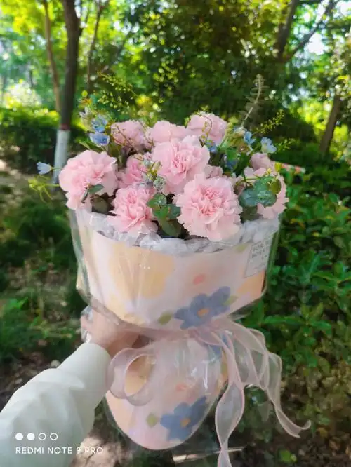 母亲节小香风康乃馨花束