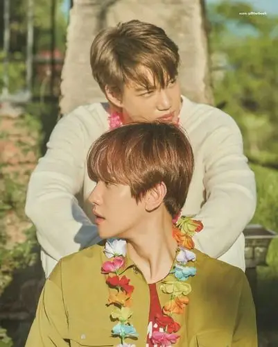 exo 边伯贤 张艺兴的文字