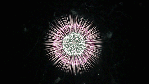 重磅顶级梦幻烟花今晚南湖首秀