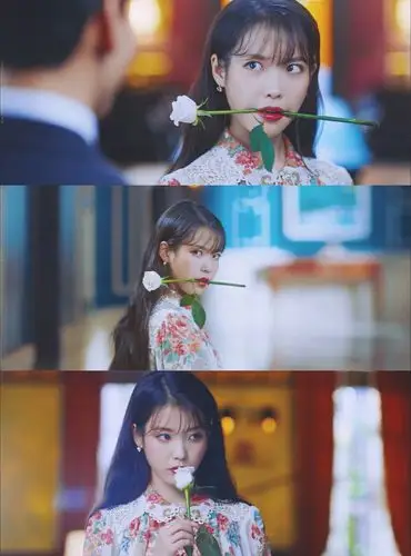 德鲁纳酒店 李知恩 iu