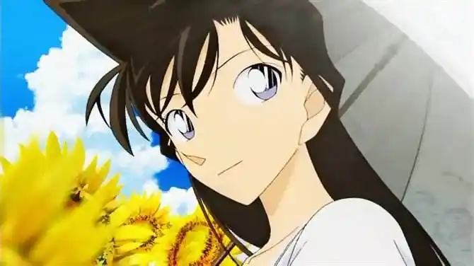 播了起码有二十多年,但毛利兰从来没有过过生日,也就是说工藤新一这