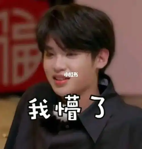 黄明昊表情包(四)