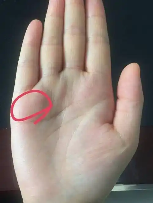 什么样手相的人有福气