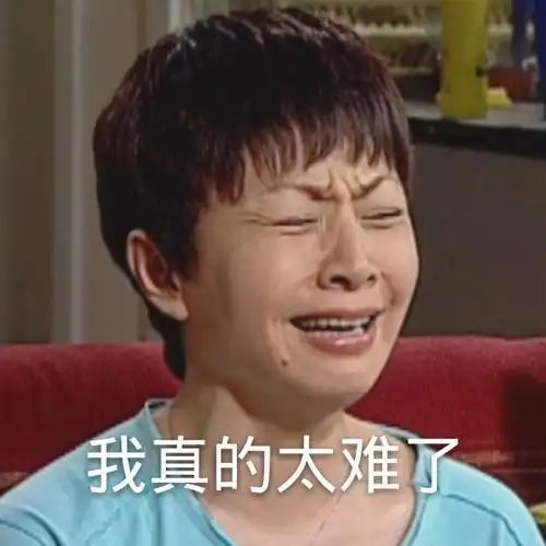 家有儿女表情包