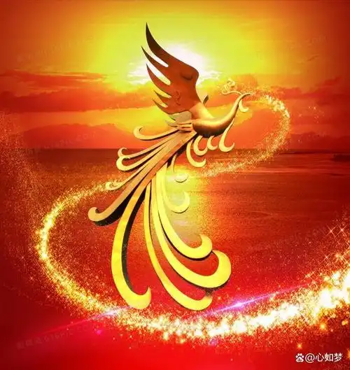 凤凰五千年一次大涅槃,五百年一次小涅槃,每次涅槃,要飞到人间某个