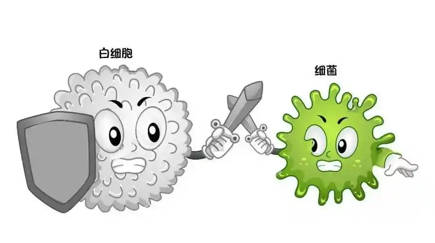 细菌_皮肤_网络