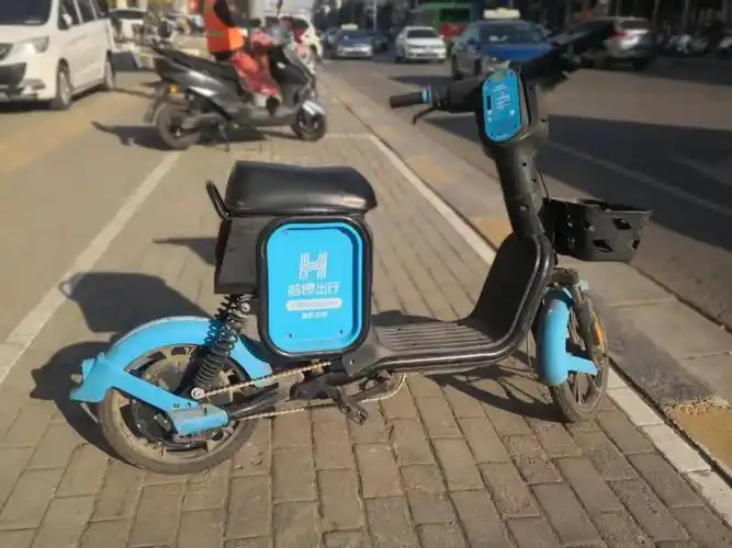 共享电单车未配头盔青桔哈罗两家运营商被新密多部门约谈