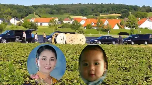 提帮功高调回归,帕查拉公主甘当陪衬,苏提达的儿子彻底"黄了"_提帮功