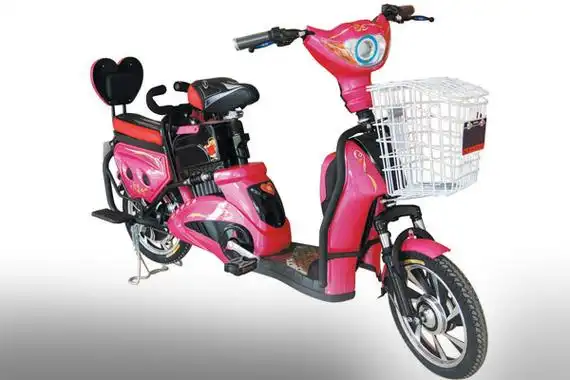 绿骄电动车图片