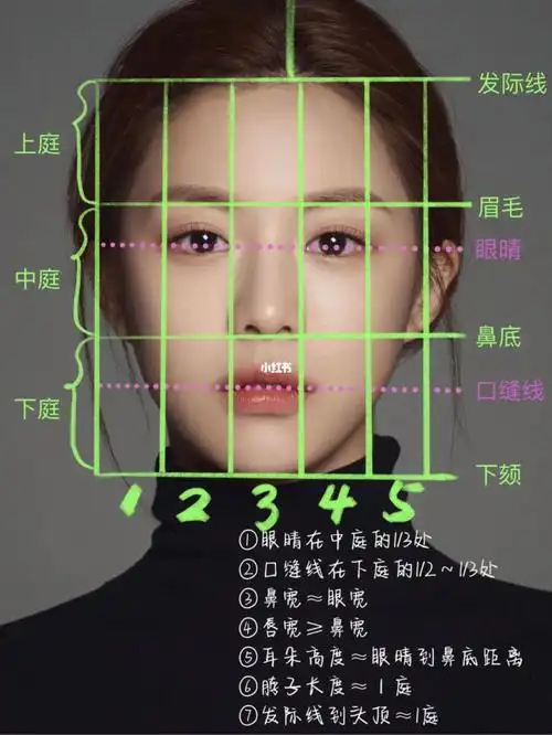 分分钟搞懂美术生说的三庭五眼,四高三低,有用记得收藏哦#ipad人像