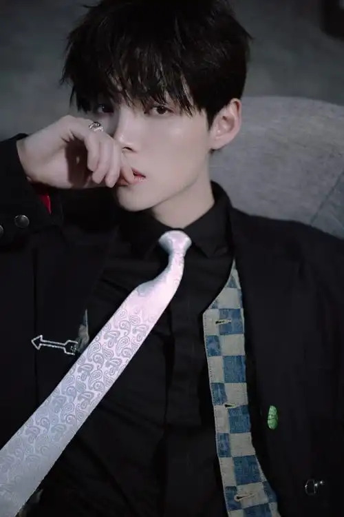 天赐的声音朱星杰##朱星杰银色亮光领带##天赐的声音