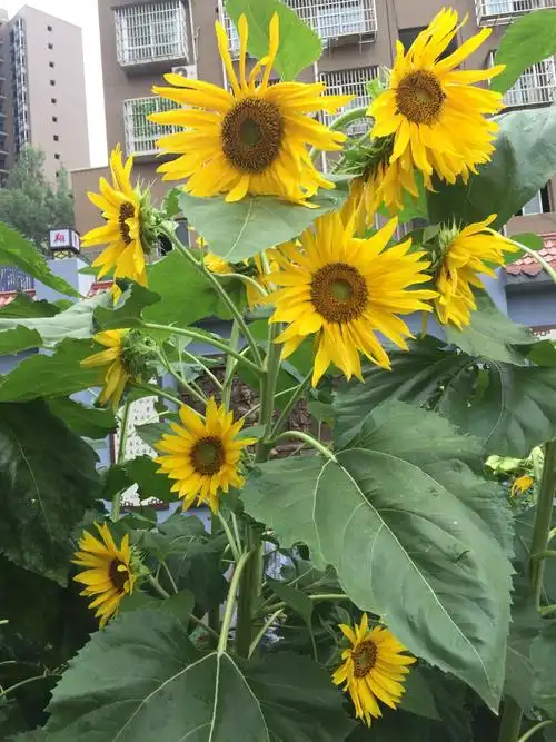 9月22日周末放假须知