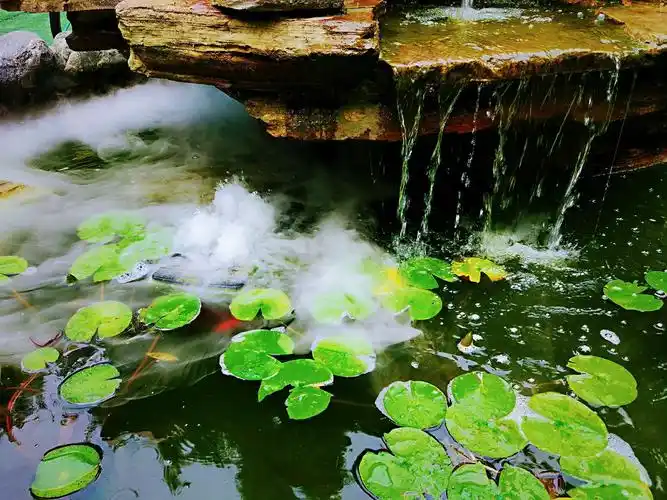 浓夏时光.醉心清宁