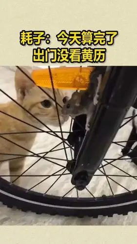 我要上热门#今天算完了,出门没看黄历