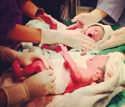 范玮琪产双胞胎儿子 明星宝宝出生秀(组图)