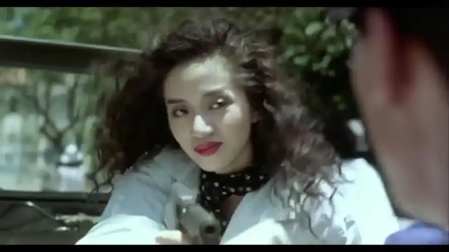 英雄本色3:夕阳之歌