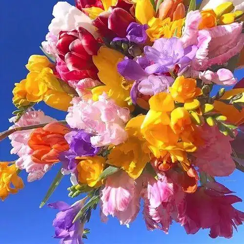 吉利好看的微信头像图片