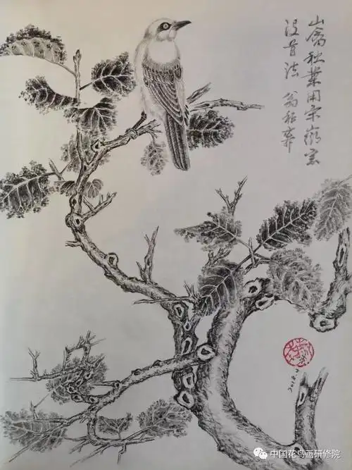 国画名家素描作品之花鸟篇