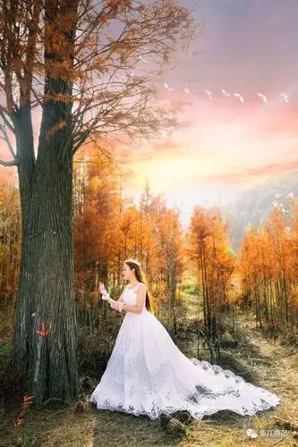 人像摄影组图美若黎明如果遇见你