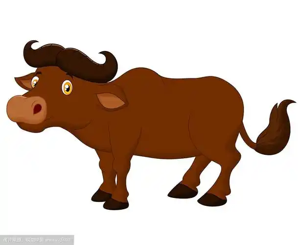 水牛卡通