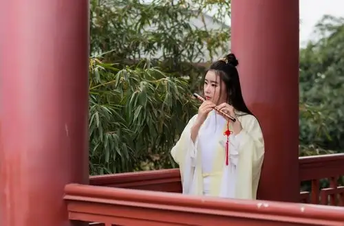 古风 玉笛飞声