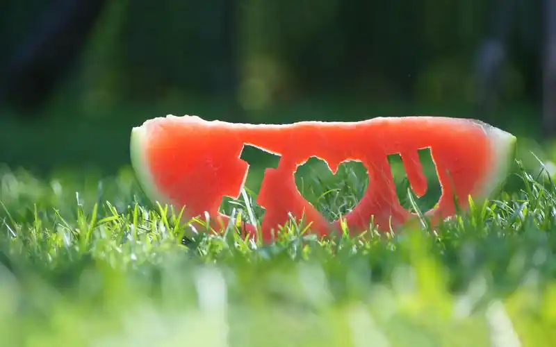 夏日新清西瓜情人节温馨高清电脑桌面壁纸下载