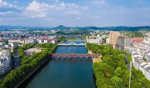 浙江日报武义推动人才回归乡村工程城市白领山村筑梦