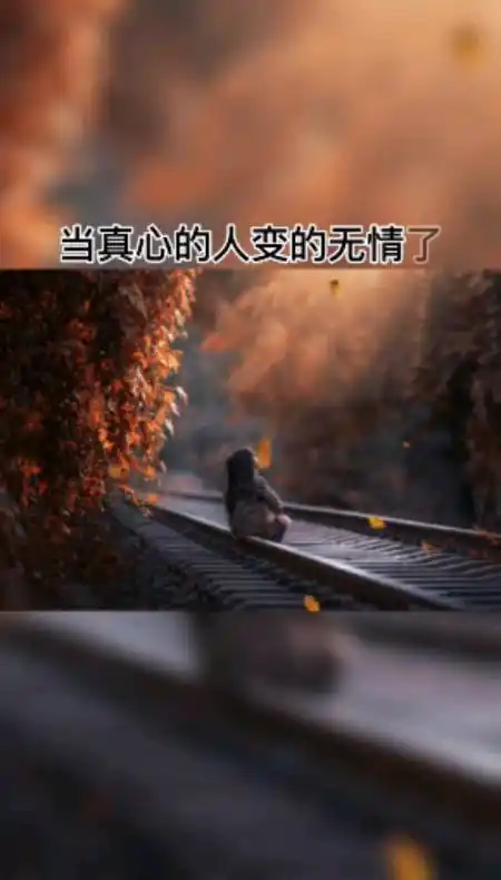 音为有你#人为什么会变,不懂我的人,就不要说我变了,是你们的态度让