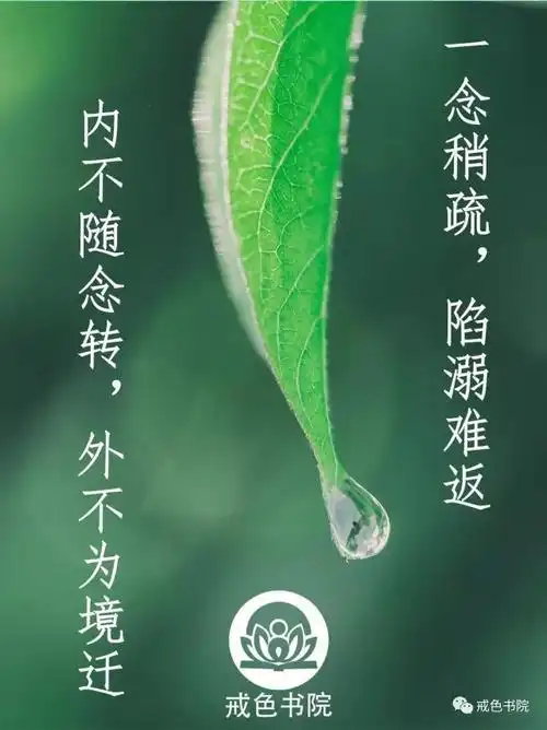 "天欲亡之,必先狂之",表面风光,谁知道邪淫背后锥心的痛是看了戒色吧