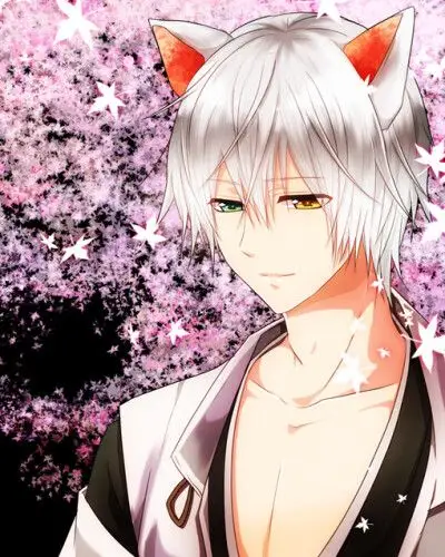 御神狐双炽 妖孽 狐妖 美男 异瞳 银发 兽耳 【狐仆ss】