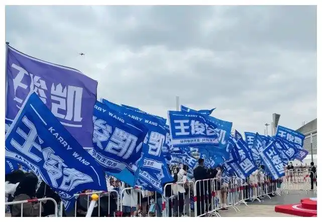 王俊凯深夜发文,真心感谢粉丝应援,网友也被这一幕感动到