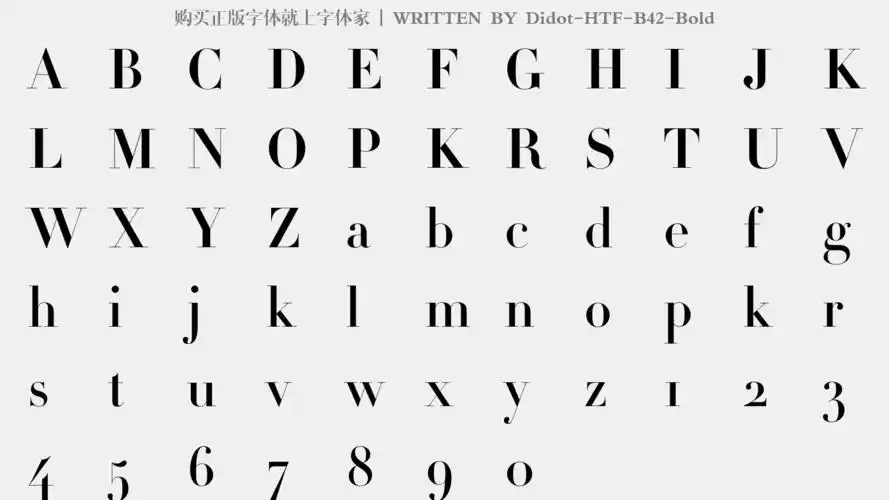 didot-htf-b42-bold免费字体下载 - 英文字体免费下载尽在字体家