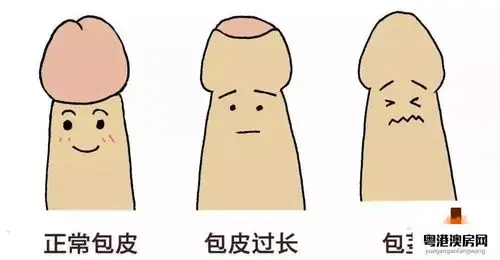 4,对男孩而言,随着睾丸的增大,大约11～12岁时开始性成熟睾丸的发育