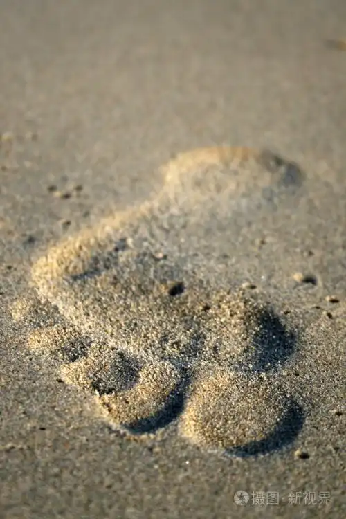 沙子上的脚印.