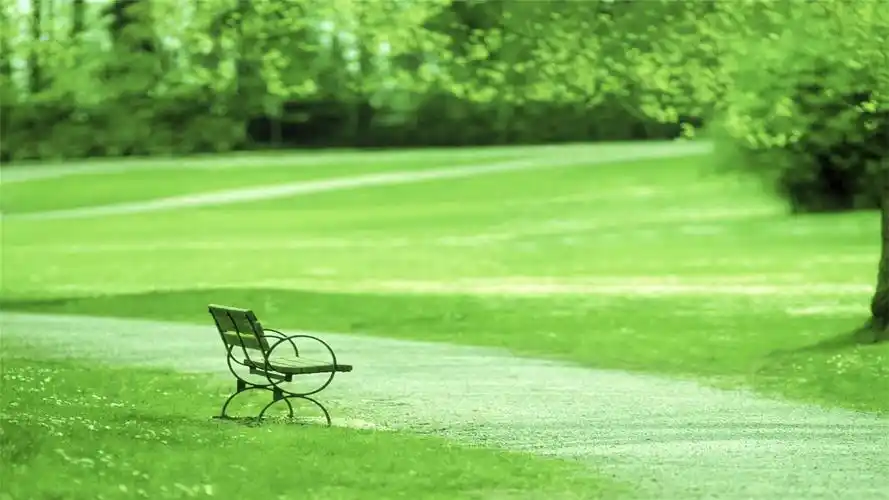 82张护眼电脑桌面壁纸,超多超全,唯美漂亮