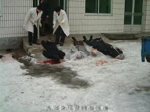死囚枪毙全过程 死刑犯枪毙后尸体处理内幕 - 619318648 - 619318648