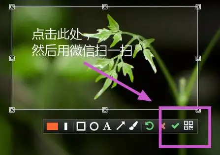 微截图201官方版