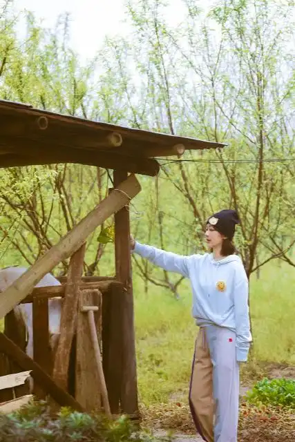 《向往的生活5》:杨紫张艺兴有点好嗑,杨紫算命全靠编