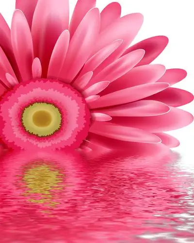 水中红花倒影水纹装饰装修素材免费下载(图片编号:1885498)-六图网